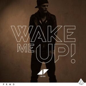 Wake Me Up – Avicii: Letra, Pronúncia Escrita e Tradução