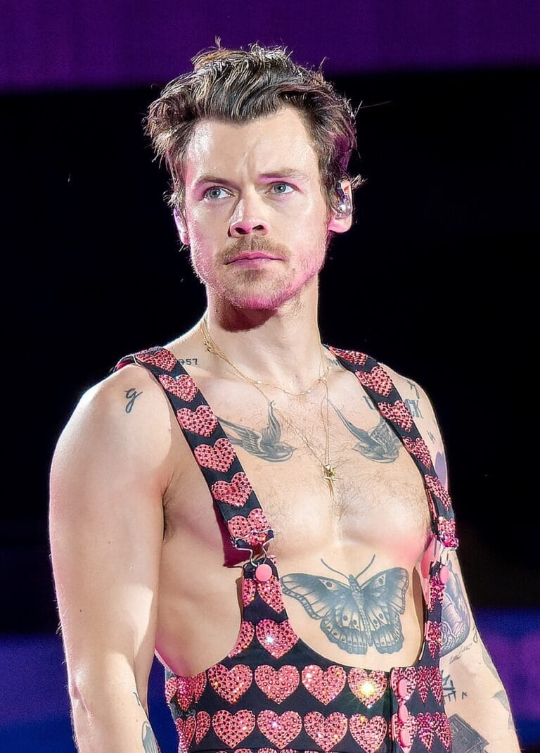 Season 2 Weight Loss – Harry Styles: Letra, Tradução e Pronúncia